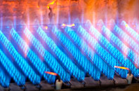 Wicken Bonhunt gas fired boilers